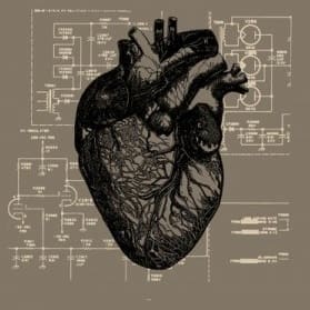 Last Harbour – Your Heart, It Carries The Sound