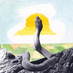 Woods – Bend Beyond