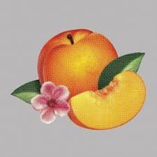 Phœnix – Bankrupt