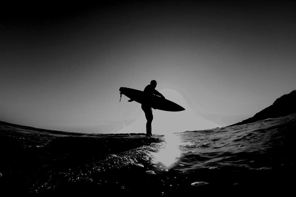 Sous le soleil noir de la Californie